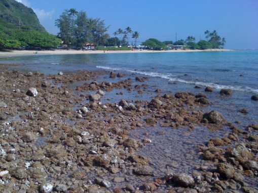 Beach at Kaaawa
