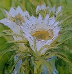 Cereus Portrait detail © Rebekah&nbsp;Luke