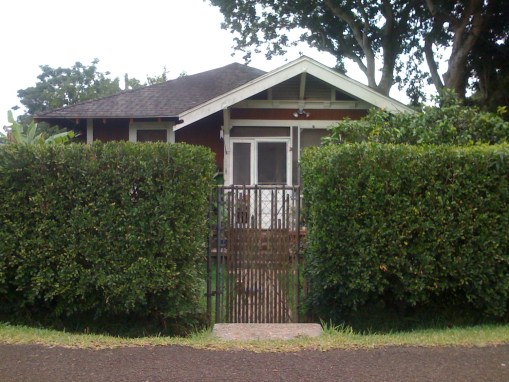 Where I lived 50 years ago. The front porch has been screened in, the mock orange hedge is twice as high, and there's a gate now. Everything else looks the same, including the mother lichee tree that must be older than I!
