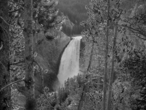 Lower Falls at Yellowstone
