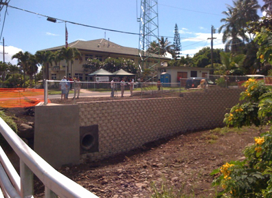 Makaua Stream embankment 2009 © Rebekah Luke Makaua Stream embankment 2009 © Rebekah Luke