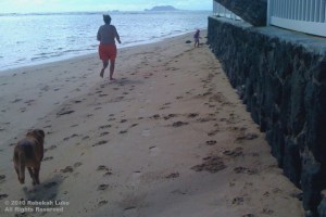 Dog chasing mom chasing baby
