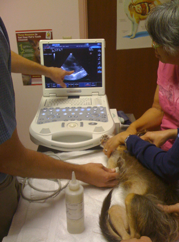 vet visit by Peter Krape