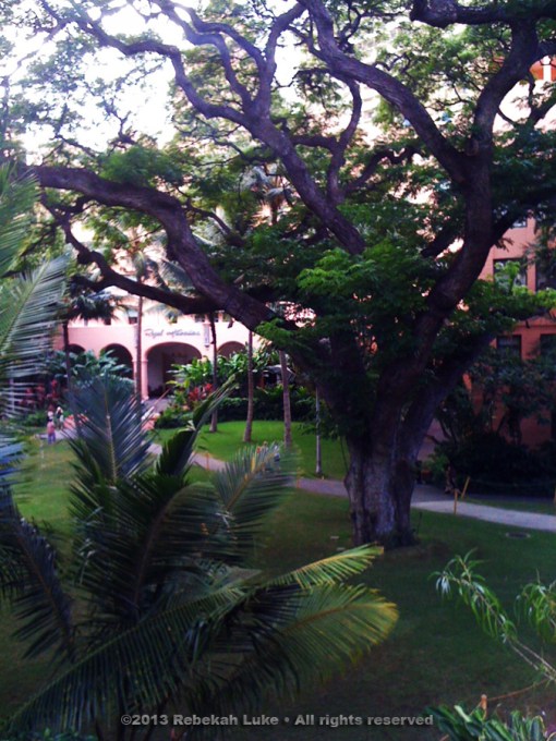 Royal Hawaiian © 2013 Rebekah Luke