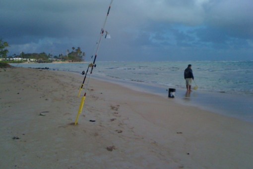 fisher © 2013 Rebekah Luke