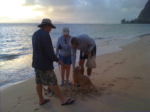 Linds©2013RebekahLuke