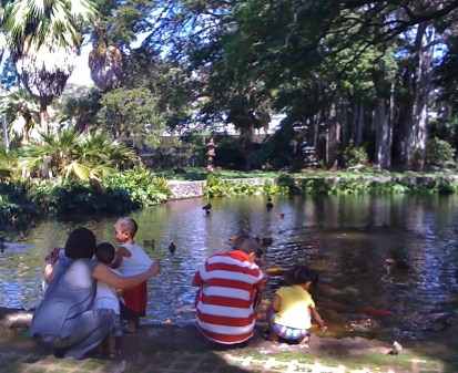 Moanalua pond