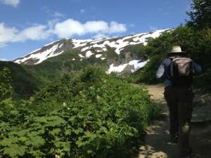 Hiking trail above Juneau