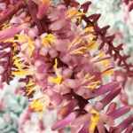 A4BE93F7-8465-4D5E-A280-98199C0AE826