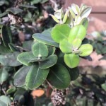 8BE69E72-D6C8-444A-A4A3-7ABABDED243F