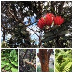 C4CEB4A2-C0DD-4476-93AA-AB94756EB82D