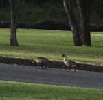 EE363535-B32D-4897-AB79-C7C031B775D8