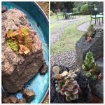 20036b1c-ba44-4e00-8023-82c77766b47c