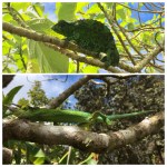 671b6552-4b17-4dde-83a9-a40415884545