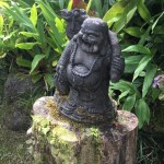 78495ea5-4c47-4e4d-ba10-d89ef3ef13ee