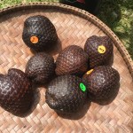 5EC273B1-9D8A-4E4F-B809-691FB4F240EC