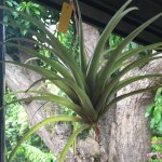 60C33BF2-983F-402E-AA88-D3B0625690DD