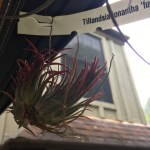 AABF61D7-6BEE-47C1-9838-A19B3D3854DC