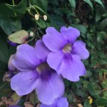 087CCB08-FD92-48D9-9B23-DE7B26CF5A0D