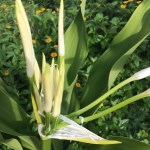 1C83EC98-A384-4CA2-BF25-59B909C62613