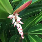 219AD761-91B2-47B1-A54A-4D86FCCBC3DC