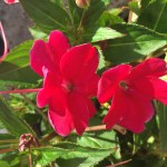 5EAA10C6-C45B-47BE-8BFB-350D67FC5A12