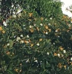 AEEA6E39-70B6-4A74-97B4-B731E6EE4EE8