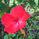 C504ECD9-564C-46D5-BC9B-31B146B6F3CD