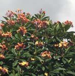 DF650DAE-98AC-4395-BC06-E2A7612E2334