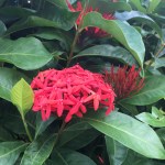 E4A4AC8A-50E3-4E5C-95C2-811820C28A4B