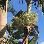 EC46D4B0-5005-4C0E-8CA7-31D70D4FED7C