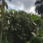 3CA377D7-F43B-4AF9-947D-B2BEFCEF3EB6