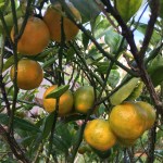 652C49E7-E51B-4313-9118-D5E1DD87488F