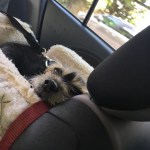 88AF45B8-1542-4B1B-BDD1-E1086FC16D65