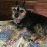 B26ADC31-6306-444C-B736-9AF7115B28C7