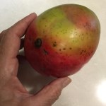 D564A9CE-0175-49BF-81EC-24C4D41214F7