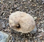 128EA586-1126-406C-94DB-9014BDAFE9F8