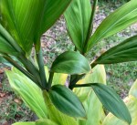 57BAC99D-D3A3-4E25-A643-773313C07D76