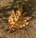 964E1F3D-3613-48F9-939C-8CAA31A400F1