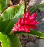 CC868D11-4A5B-4A51-8973-A1DCC367FAB6