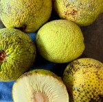 91106C7D-58F8-4294-86A3-836FABAB954E