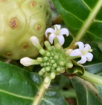 A23F82A5-5F3B-4E18-934B-DB8CF912653A