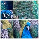 607A1FA5-2CFE-4FC9-93E6-9A2A43C037E9