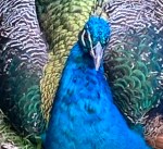 78A04E61-E68F-4B46-A042-EF642CC3A01E