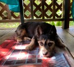 D0EE01D1-09CA-4FA4-9F21-2C9F5BB2B339