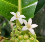 BA74B9BC-E717-4B53-9AA2-9EB6888C0FBE