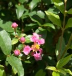 CB0C47B5-A3C5-4F61-87D7-2773CC2F9D20