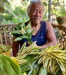 48D44A92-D89B-4F92-BDDD-038989A35DCA