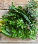 4810e816-4d82-4570-9bd7-7192d29a2ed0