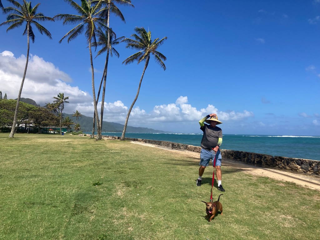 This image has an empty alt attribute; its file name is img_0034.jpeg